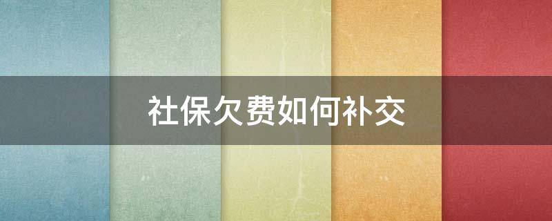 社保欠费如何补交（社保欠费如何补交欠费在哪里补缴）