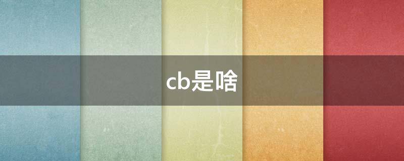 cb是啥（cb是啥衣服）