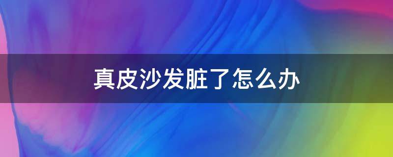 真皮沙发脏了怎么办（皮沙发弄脏了怎么办）