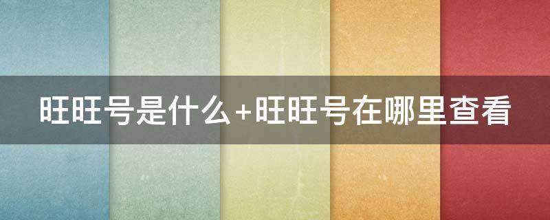 旺旺号是什么（旺旺号是什么号）