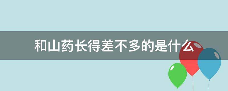 和山药长得差不多的是什么（和山药长得很像的有什么）