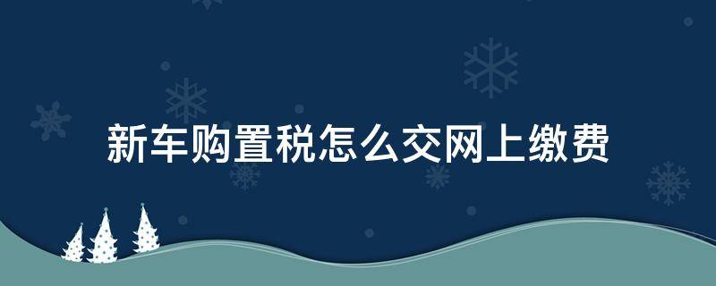 新车购置税怎么交网上缴费（怎么在网上交新车购置税）