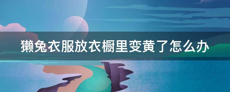 獭兔衣服放衣橱里变黄了怎么办（獭兔衣服怎么办能不掉毛）
