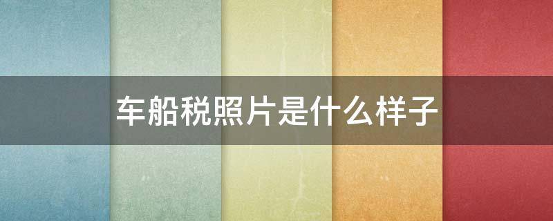 车船税照片是什么样子 车船税的照片长什么样子