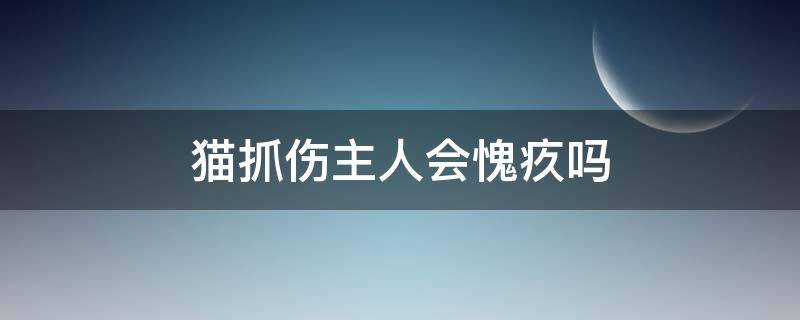 猫抓伤主人会愧疚吗 猫抓伤主人是不好的征兆吗