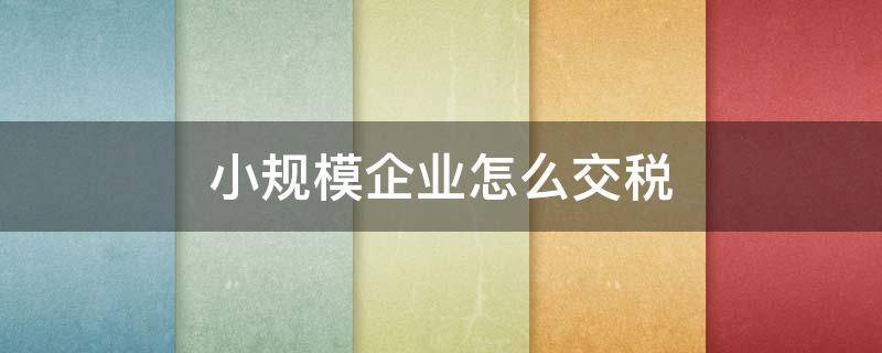 小规模企业怎么交税 小规模纳税人企业所得税怎么征收