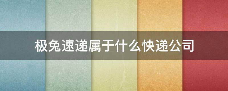 极兔速递属于什么快递公司（淘宝极兔速递属于什么快递公司）