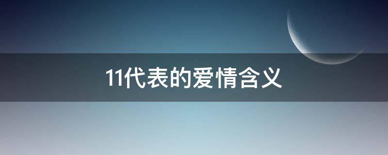 11代表的爱情含义（11表示爱情含义）