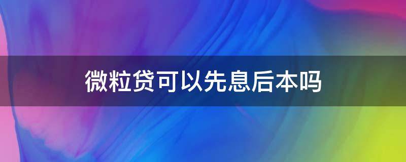 微粒贷可以先息后本吗（微粒贷有先息后本还款方式吗）