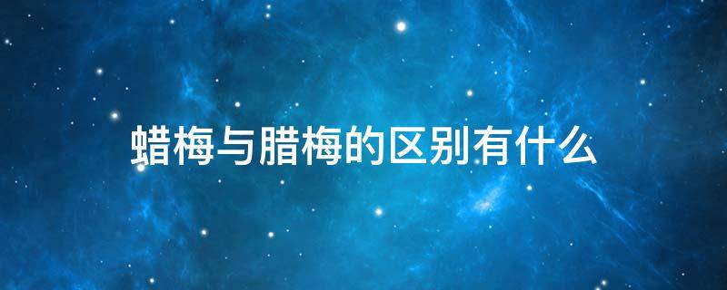 蜡梅与腊梅的区别有什么（腊梅还是蜡梅花）