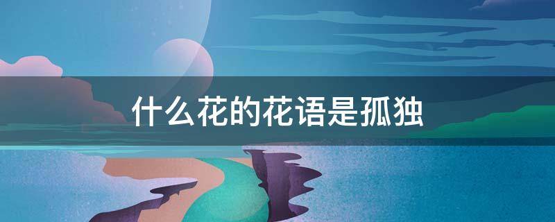什么花的花语是孤独（什么花的花语是孤独迷茫）