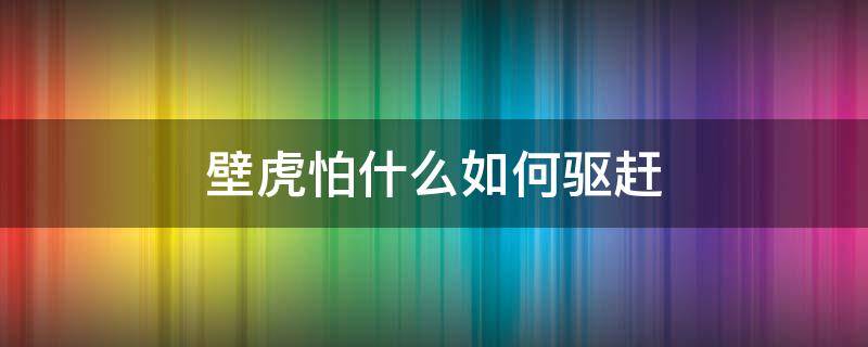 壁虎怕什么如何驱赶 壁虎用什么驱赶