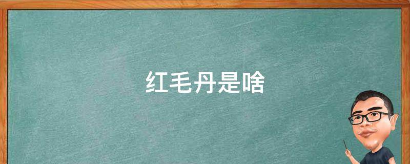 红毛丹是啥（红毛丹是啥样的）