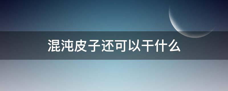 混沌皮子还可以干什么 混沌皮子用什么做