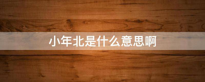 小年北是什么意思啊 小年北是指什么