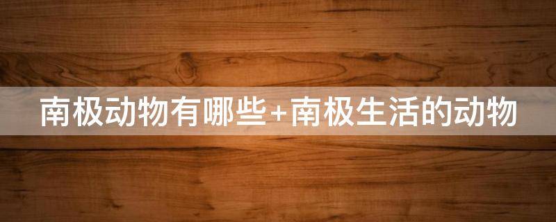 南极动物有哪些 南极动物有哪些图片和名字