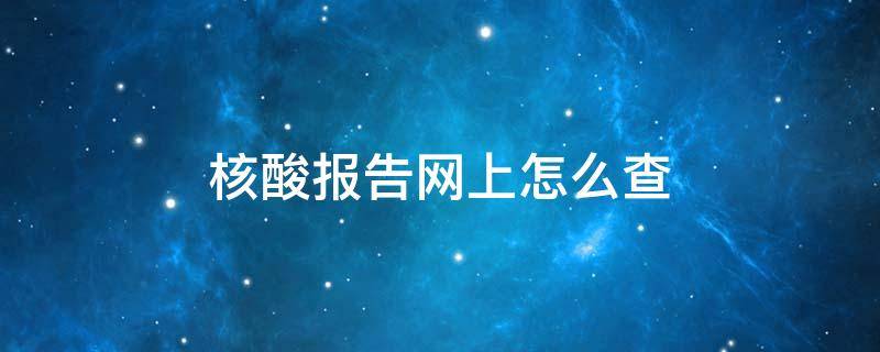 核酸报告网上怎么查（小朋友核酸报告网上怎么查）