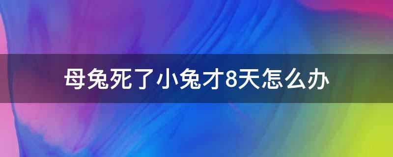 母兔死了小兔才8天怎么办（母兔死了小兔子还能活吗）