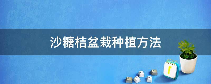 沙糖桔盆栽种植方法 沙糖桔怎么栽