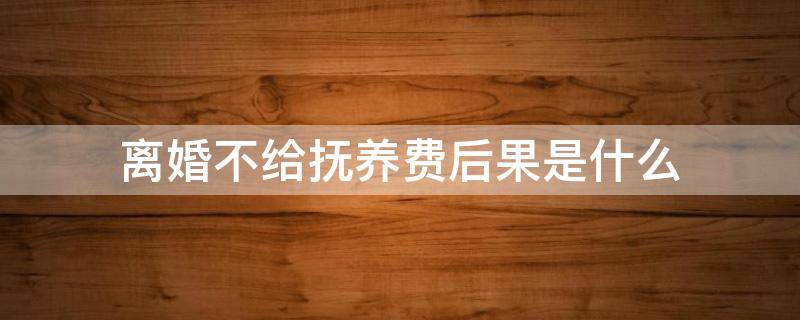 离婚不给抚养费后果是什么（离婚以后不给抚养费）