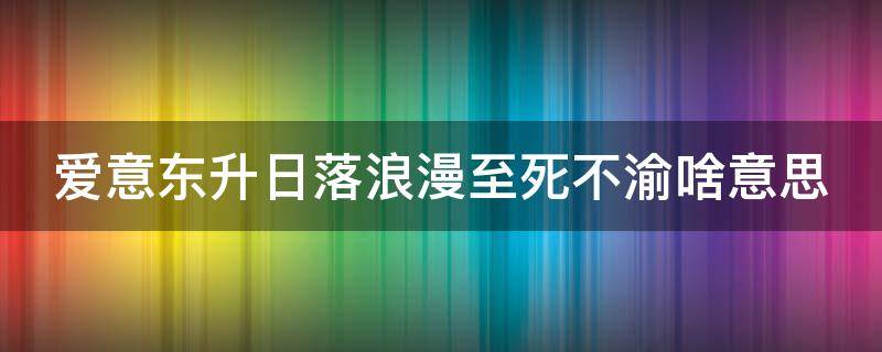 爱意东升日落浪漫至死不渝啥意思 爱意东升日落 浪漫至死不渝意思