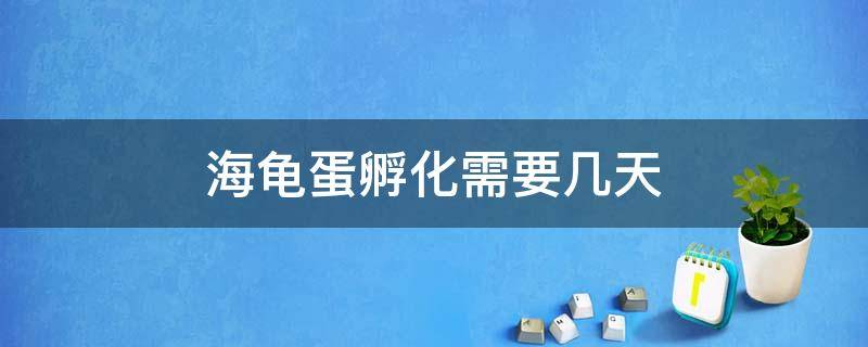海龟蛋孵化需要几天 海龟蛋孵化需要几天破壳而出