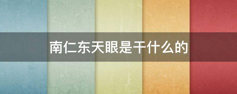 南仁东天眼是干什么的（南仁东的天眼是干嘛的）