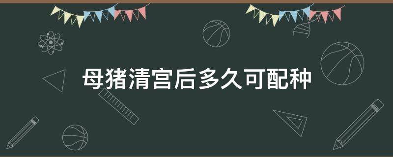 母猪清宫后多久可配种（母猪清宫后几小时可以配种）