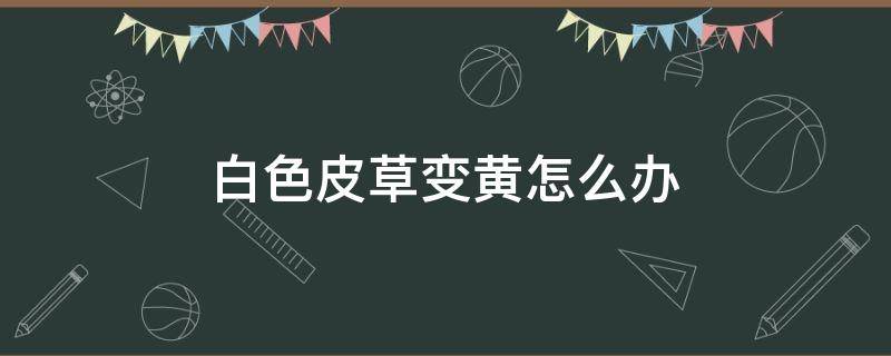 白色皮草变黄怎么办（白色皮草发黄了怎么办）
