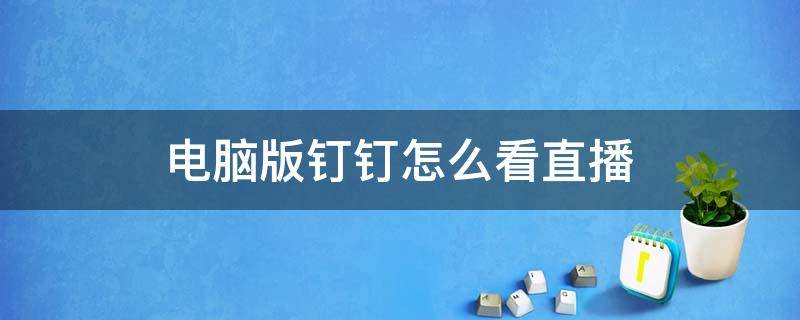 电脑版钉钉怎么看直播 电脑版钉钉怎么看直播课