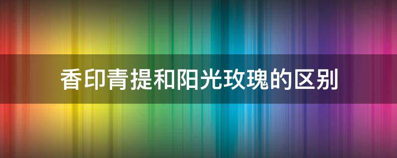 香印青提和阳光玫瑰的区别（玫瑰香青提和香印青提的区别）