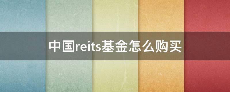 中国reits基金怎么购买（中国reits基金怎么购买国海金探号）