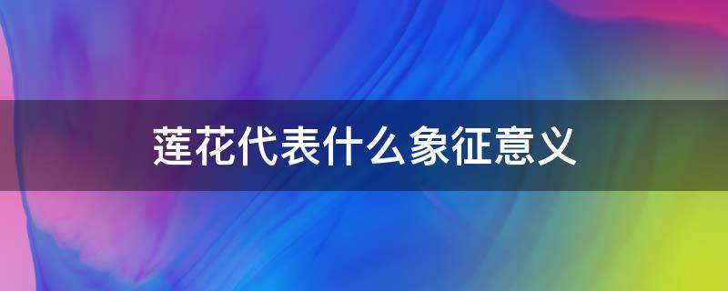 莲花代表什么象征意义 车上挂莲花代表什么象征意义