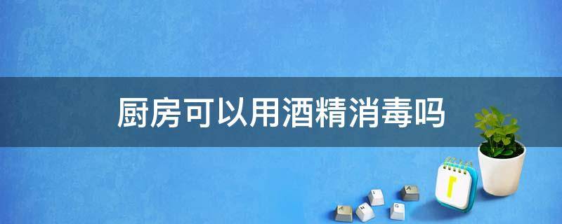 厨房可以用酒精消毒吗 厨房用具可以用酒精消毒吗