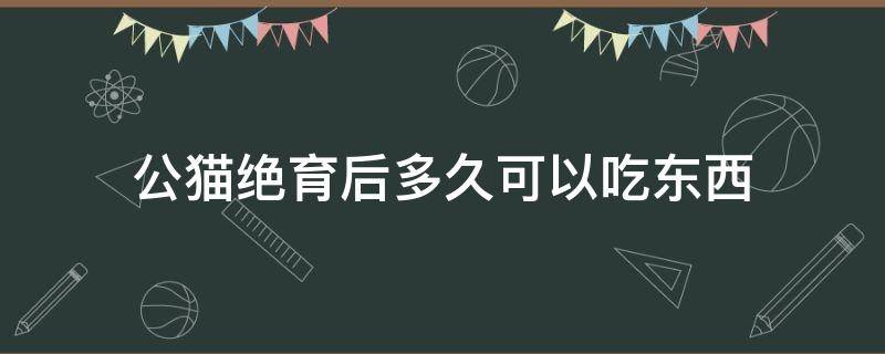 公猫绝育后多久可以吃东西（公猫绝育术后多久可以吃东西）