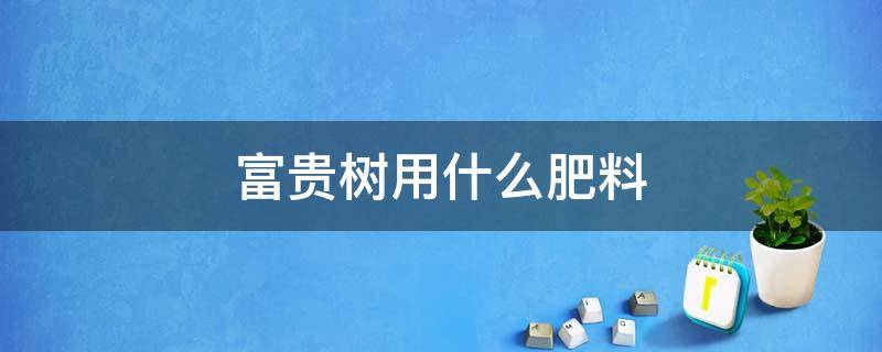 富贵树用什么肥料（富贵树要施什么肥）