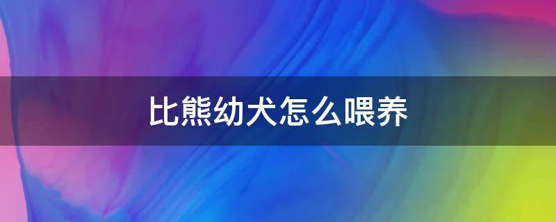 比熊幼犬怎么喂养（40天比熊幼犬怎么喂养）