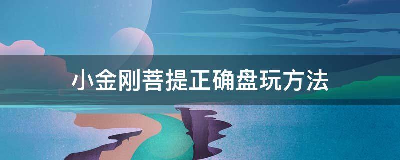 小金刚菩提正确盘玩方法（小金刚菩提正确盘玩方法视频）