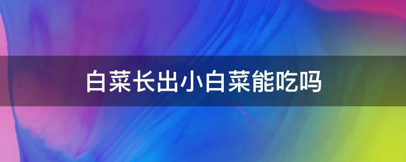 白菜长出小白菜能吃吗 小白菜长成什么样可以吃