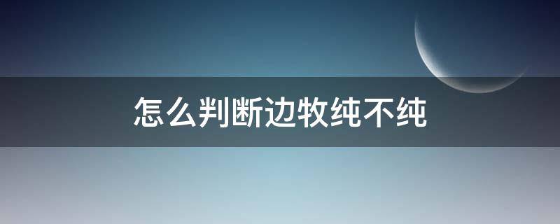 怎么判断边牧纯不纯 边牧纯不纯怎么看么区分边牧是否纯正