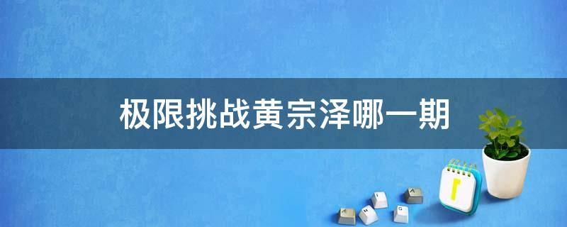 极限挑战黄宗泽哪一期 极限挑战黄宗泽哪一期是哪一期