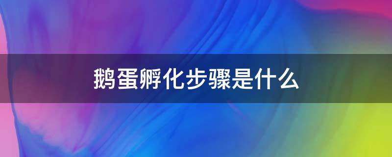 鹅蛋孵化步骤是什么 鹅蛋孵化流程和注意事项