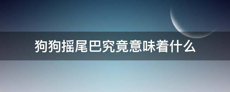 狗狗摇尾巴究竟意味着什么（狗狗摇尾巴的含义）