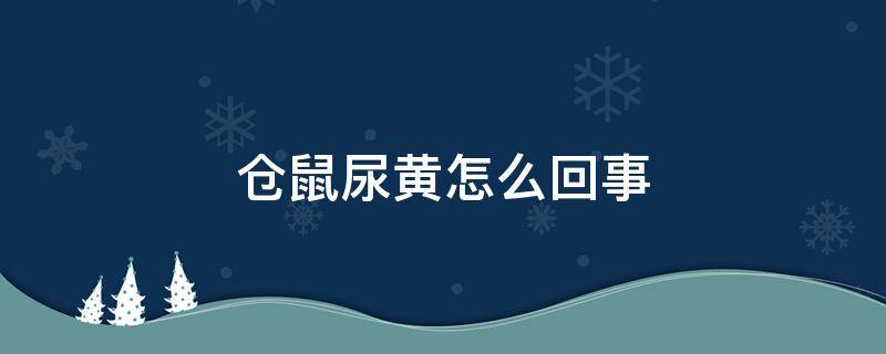 仓鼠尿黄怎么回事（仓鼠尿发黄）