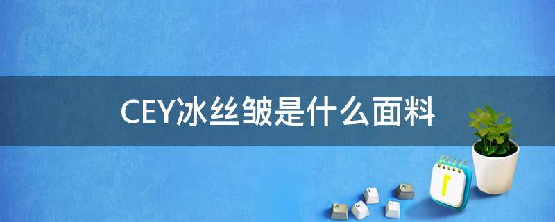 CEY冰丝皱是什么面料 有冰丝皱这种面料吗