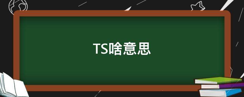 TS啥意思（网络ts啥意思）