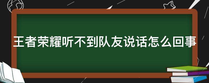 王者荣耀听不到队友说话怎么回事（王者荣耀听不到队友说话怎么回事）