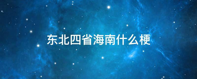 东北四省海南什么梗 为什么说海南是东北四省