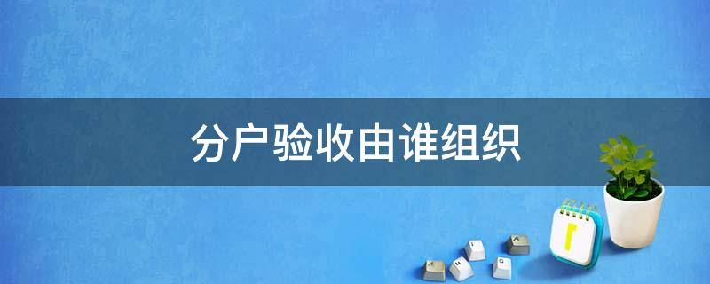 分户验收由谁组织（分户验收由谁组织验收）