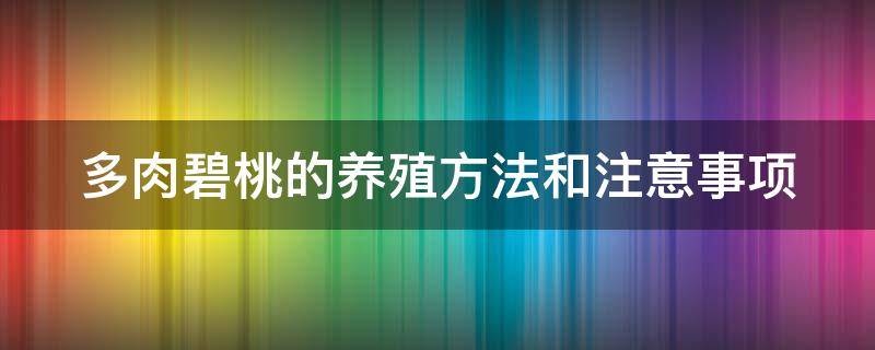 多肉碧桃的养殖方法和注意事项（多肉碧桃的养殖方法和注意事项图片）